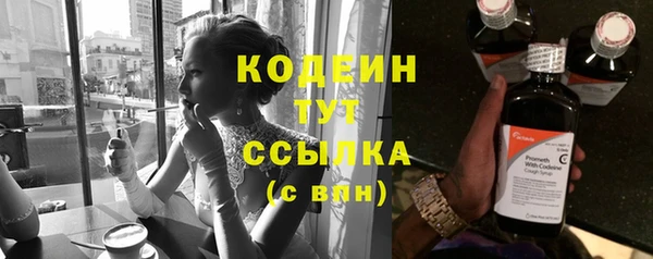 гашик Дмитровск
