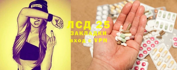 гашик Дмитровск