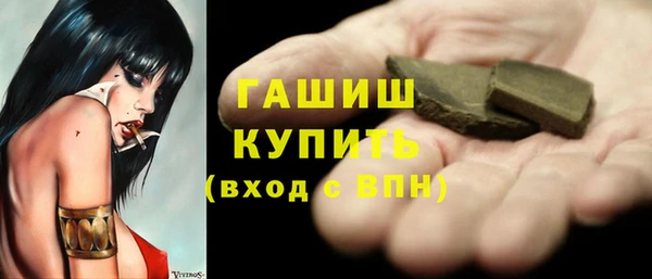 гашик Дмитровск